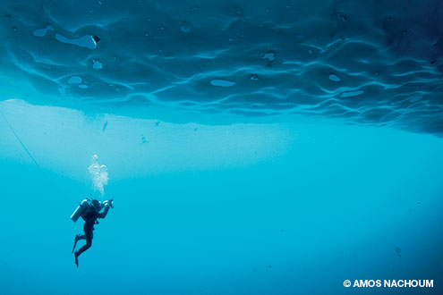 Divers beneath the ice sheet are always tethered to the surface for safety.