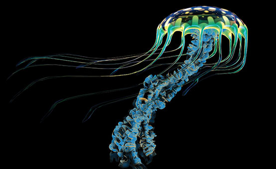 blue, green, yellow iridescent jellyfish