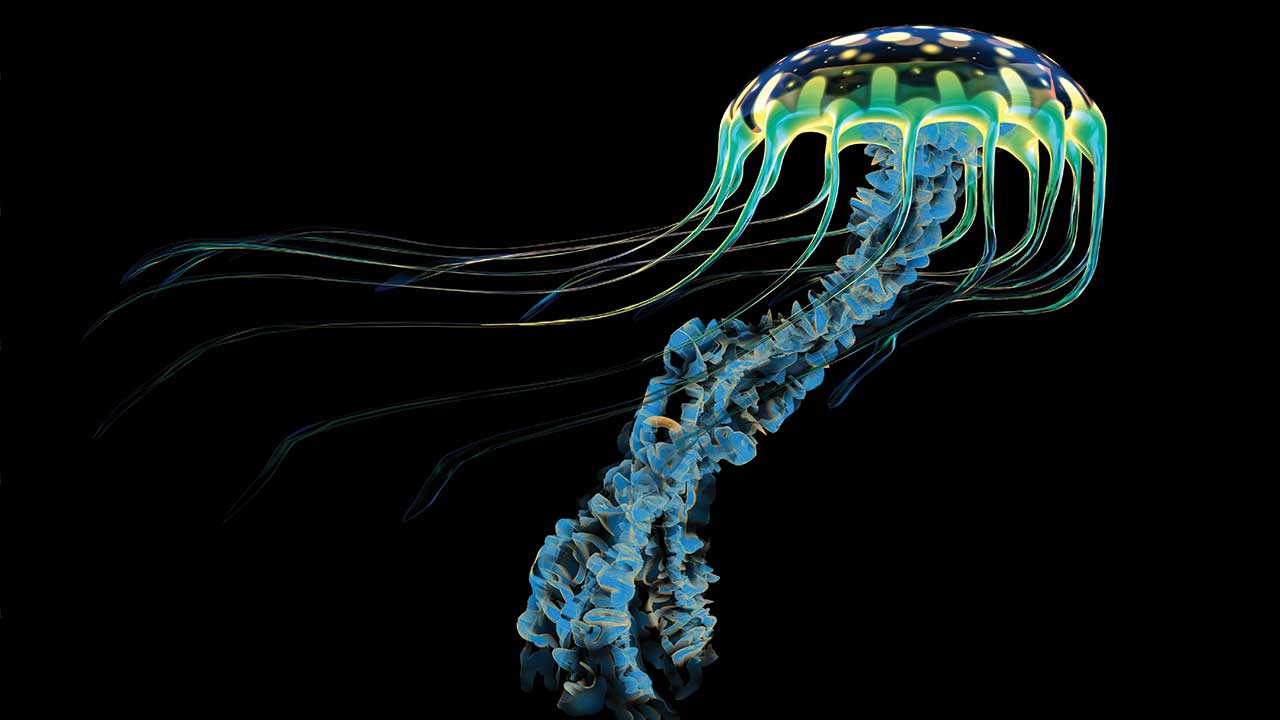 blue, green, yellow iridescent jellyfish