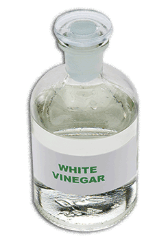 bottle of white vinegar