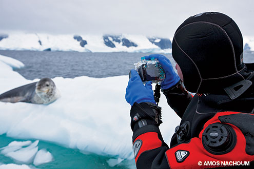 Taking photos of a seal on an ice floe in Antarctica