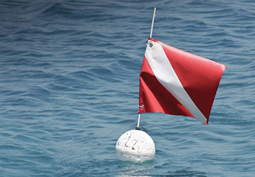 Diver Down Flag