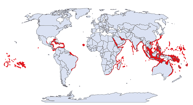 map of known fire coral locations worldwide