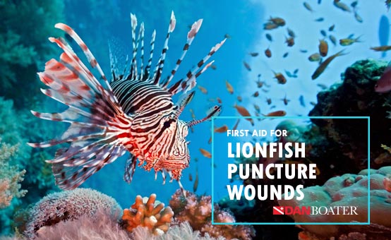 lionfish swimming near coral reef