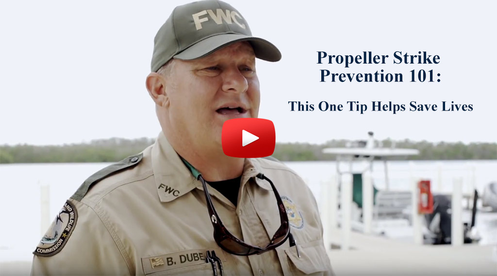 Florida Fish & Wildlife Conservation Commission shares propeller safety tips