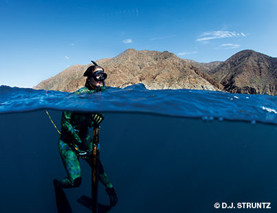 Lacerated in Baja