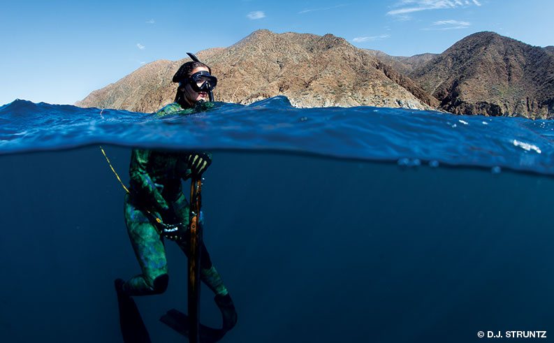 Lacerated in Baja