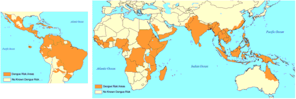 Global Map of Dengue Risk Areas