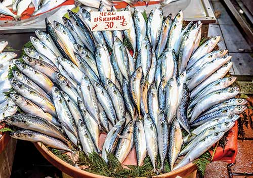 basket of fish in open market