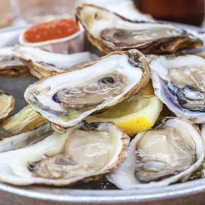 oysters on the half shell with lemon and cocktail sauce