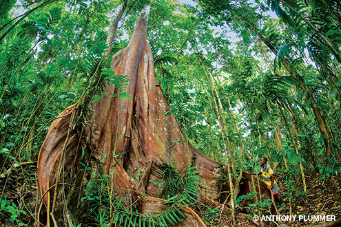 Tourists help support the conservation efforts of the Tetepare residents