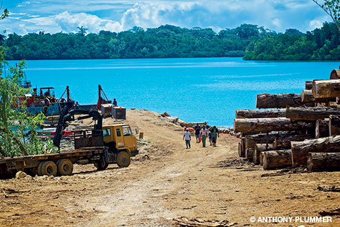 TDA members maintain protected areas for survival of dugongs, leatherback turtles and other species.