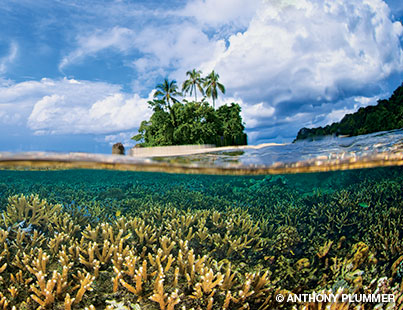 The Tetepare Descendents' Association manages the island’s reefs and other natural resources.